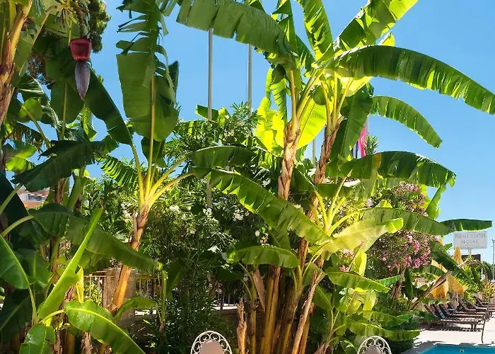 Hotel Temple Miletos