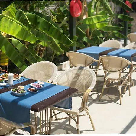 Temple Miletos 2* Altınkum