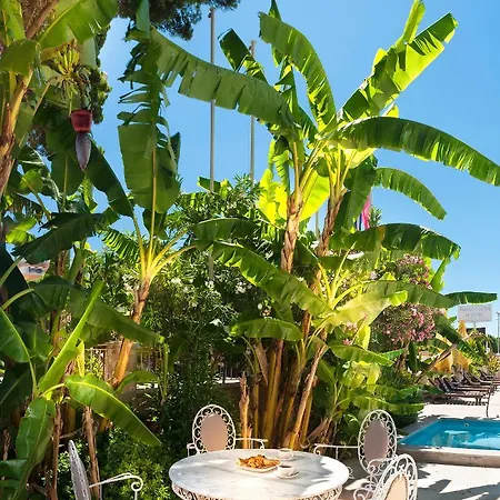 酒店 米利图斯寺spa酒店