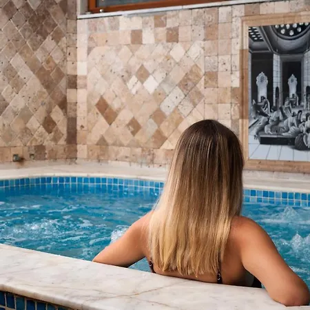 米利图斯寺spa酒店 酒店 2*